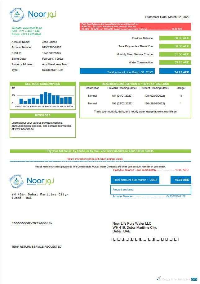 download UAE Noor Life Pure Water LLC utility bill template in Word and PDF format PDF template